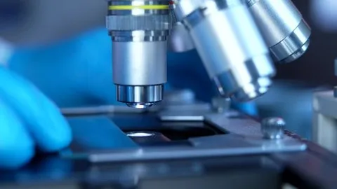 国产精品 - 气候科学家专访